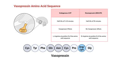 Desmopressin Interactions