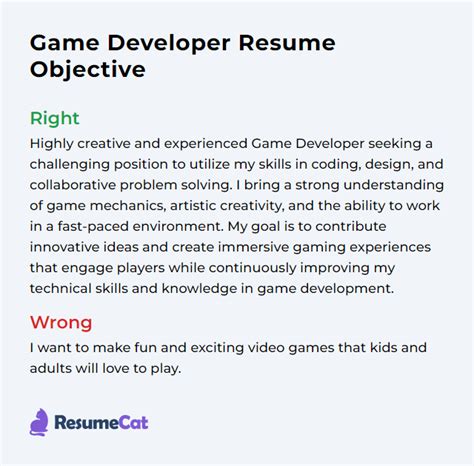 Developer Resume Objective