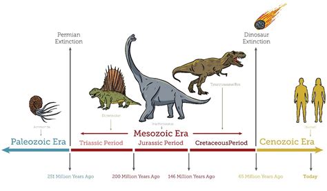 Dino Invitation Timeline