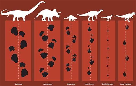 Benefits of Dinosaur Footprint Printable Templates