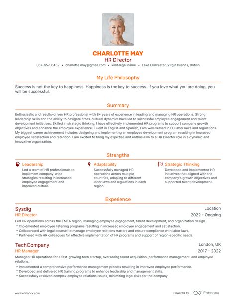 Director-Level Resume Template Examples