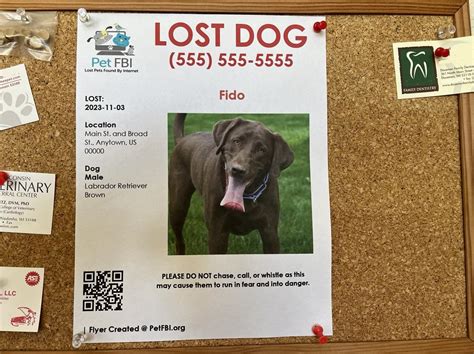 Distributing Lost Dog Flyers