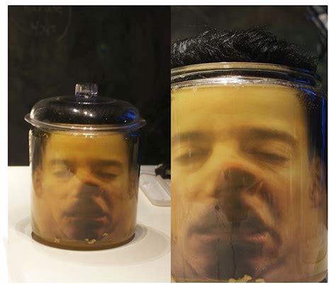 DIY head in a jar prank