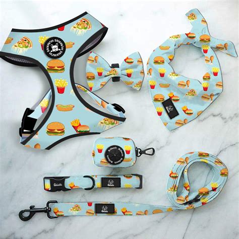 Description of Dog Accessories