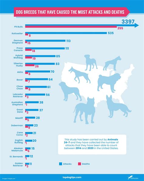 Dog attack statistics