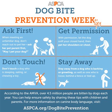 Dog bite prevention