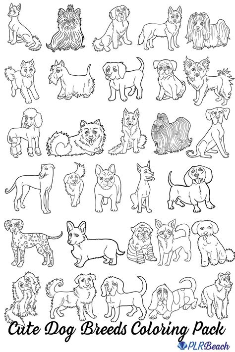 Dog breeds for coloring