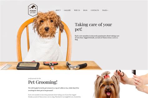 Dog grooming website template design trends