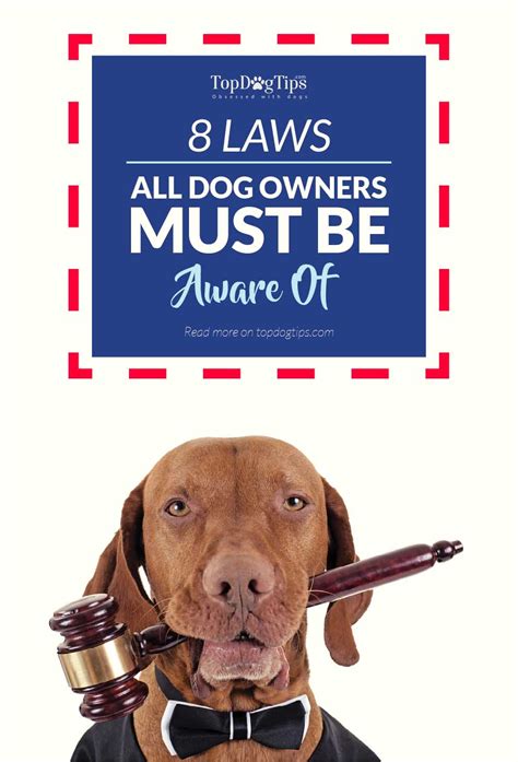 Dog-related laws