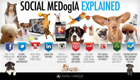 Dog Social Media Integration