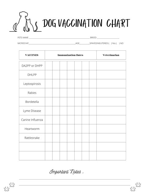 Dog Vaccine Record Example