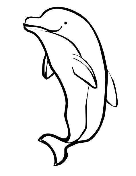 Dolphin coloring page 1