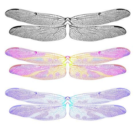 Description of Dragonfly Wing Patterns