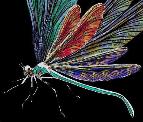 Description of Dragonfly Wings Art