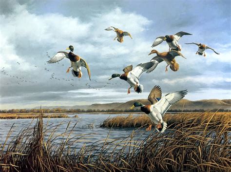 Duck Hunting Prints