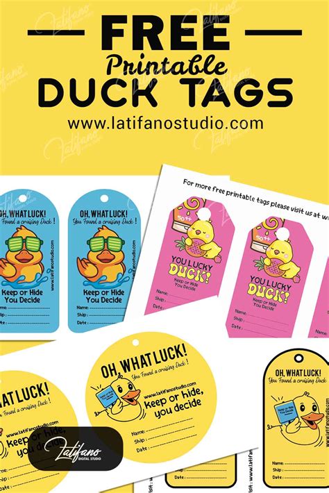 Popular Types of Cruising Duck Tags