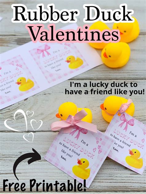 Duck Valentine