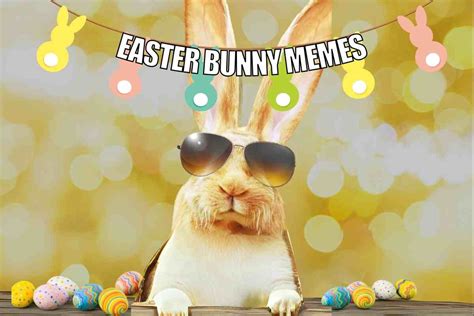 Easter Bunny Meme 10