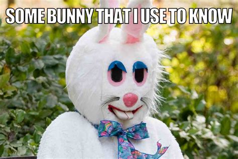 Easter Bunny Meme 2