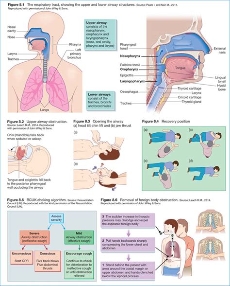 Education and training in airway management