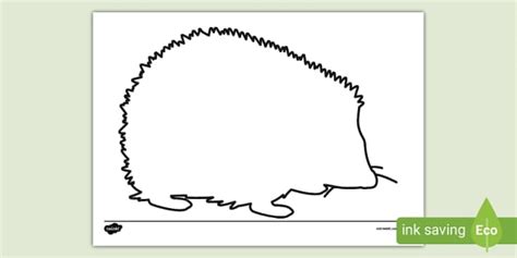 Educational template about hedgehogs