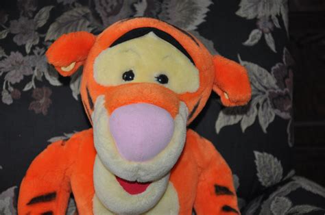 Eeyore and Tigger