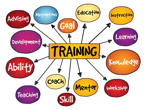 Description of Effective Training Strategies