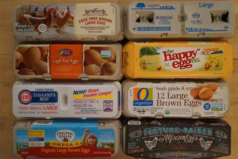 Egg carton label examples