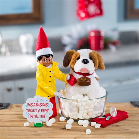 Elf Pets Activities