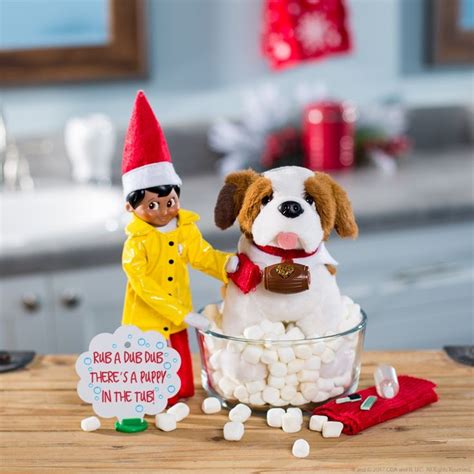 Elf Pets Fun