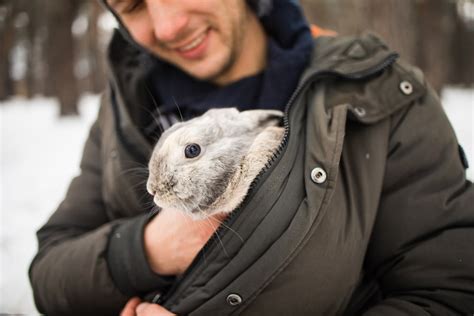 Emotional Support Rabbit