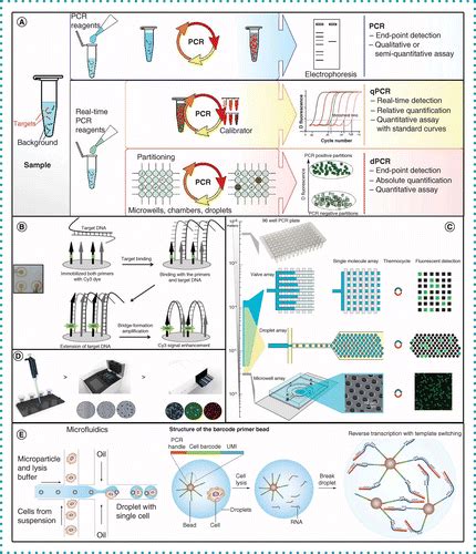 EMS PCR Future Directions