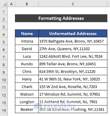 Entering Addresses into Label Cells