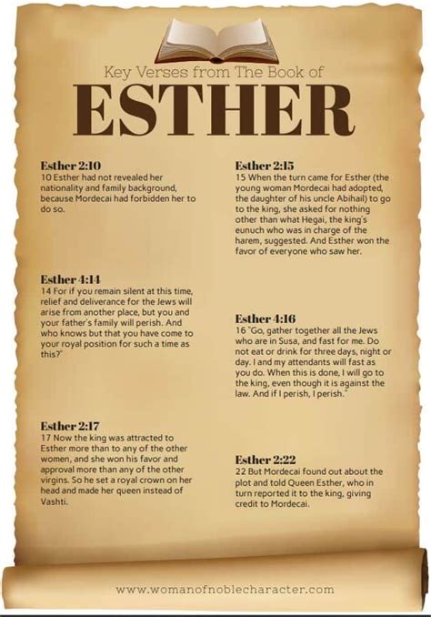 Esther Bible Study Image 5