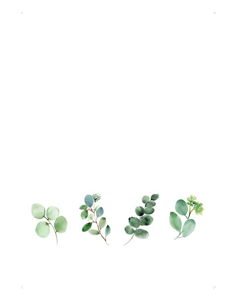 Eucalyptus card templates