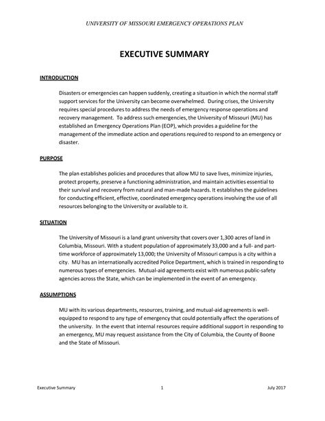 Executive summary example