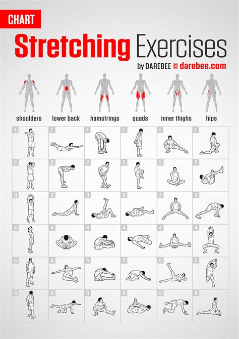 Exercise Charts for Flexibility