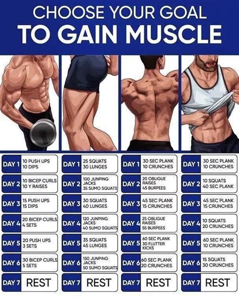 Exercise Charts for Muscle Gain