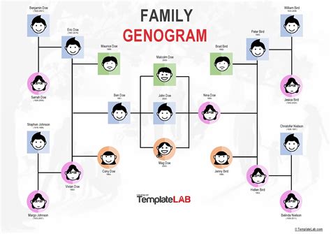 Extended Genogram Template