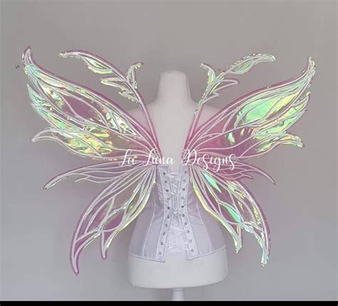 Description of Fairy Wing Accessories