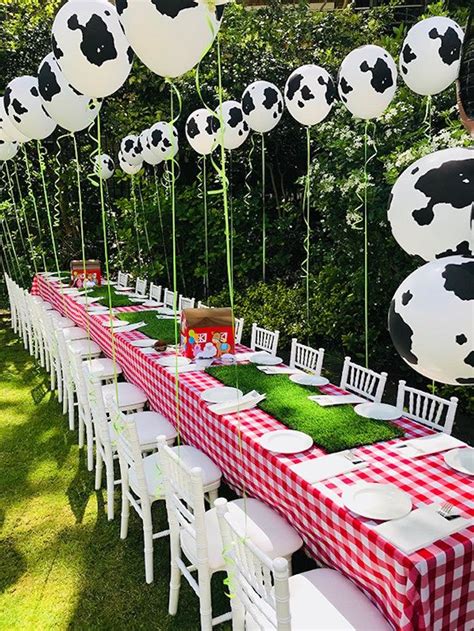 Farm Birthday Party Ideas