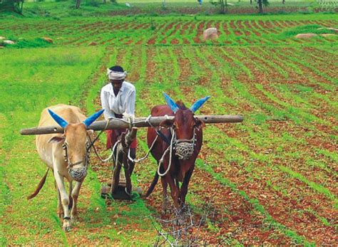 Description of farming traditions