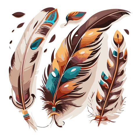 Feather Illustrations