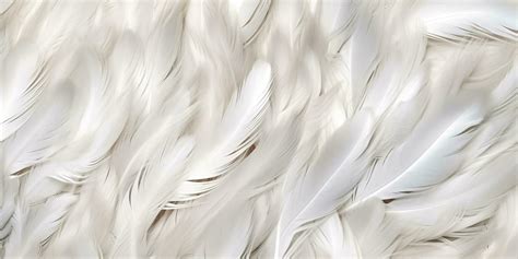 Feather Textures