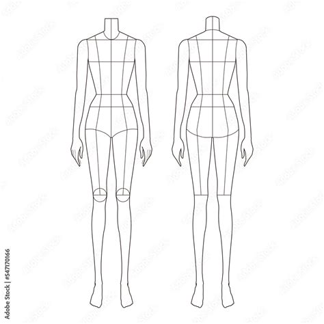 Female Body Illustrations