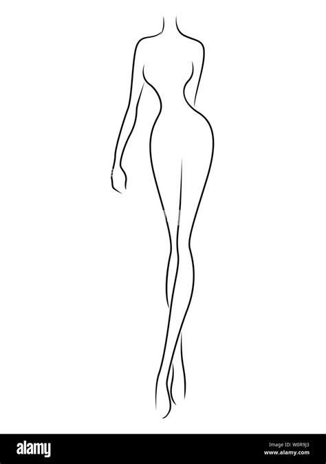 Female Body Outline Education