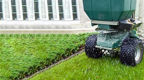 Fertilizing and Pest Control