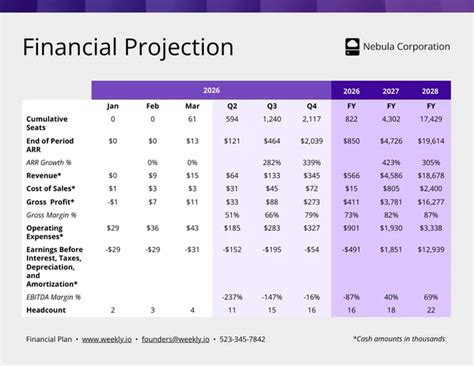 Financial Projections