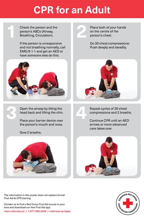 First aid instructions for proper care and response