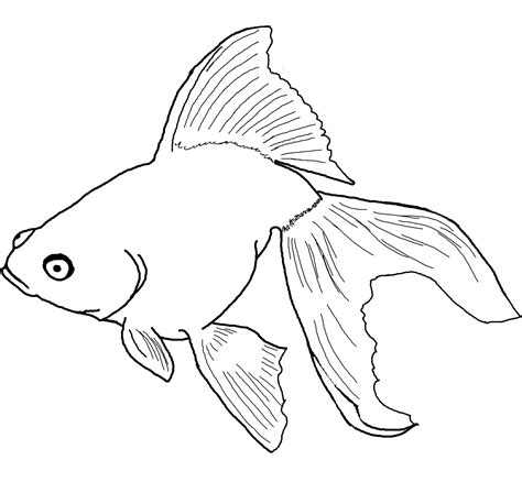 Fish coloring pages for educational and artistic purposes